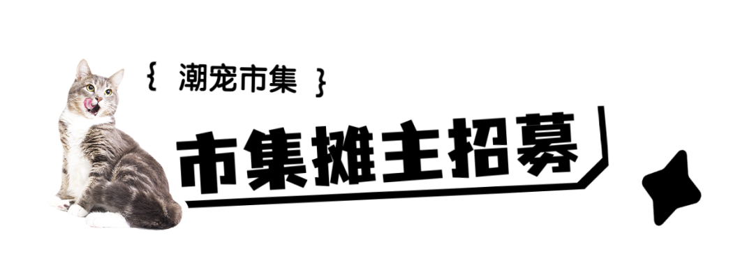 23.png 23.png