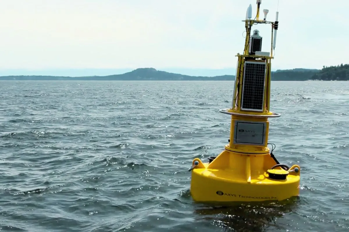 ۽ʮ塱캣ͼ 2026ȫռң뺣浼װչھĻ