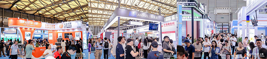 微信图片_2025-08-14_085317_339.jpg 微信图片_2025-08-14_085317_339.jpg