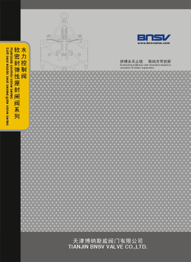 博纳斯威水力电子样本画册 博纳斯威水力电子样本画册